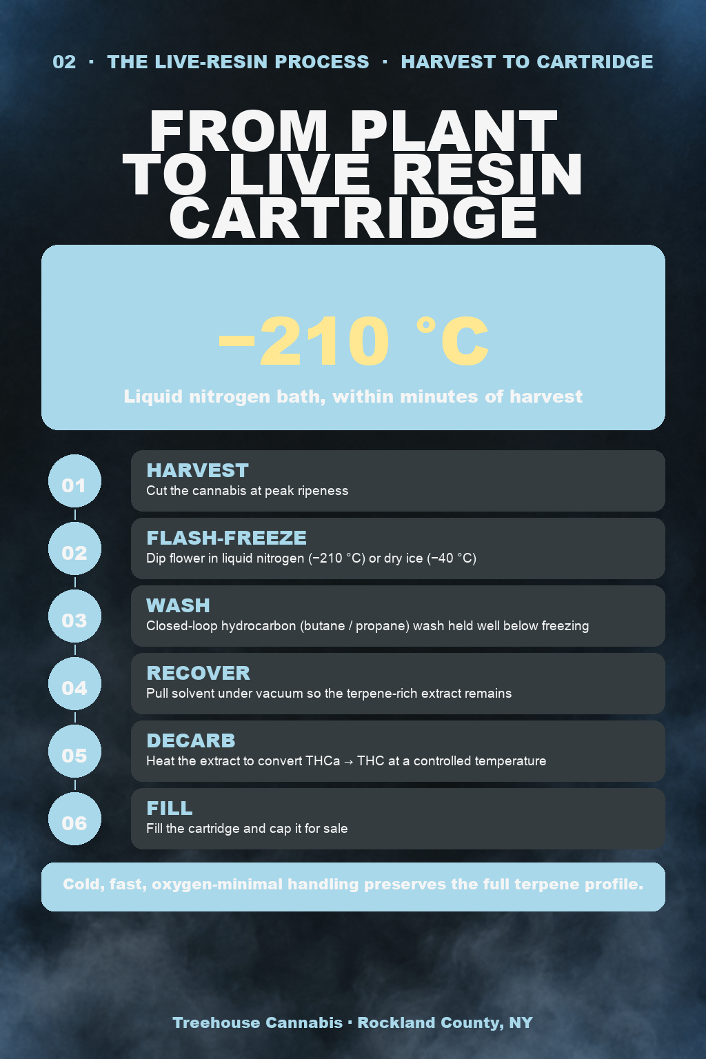 Infographic 2