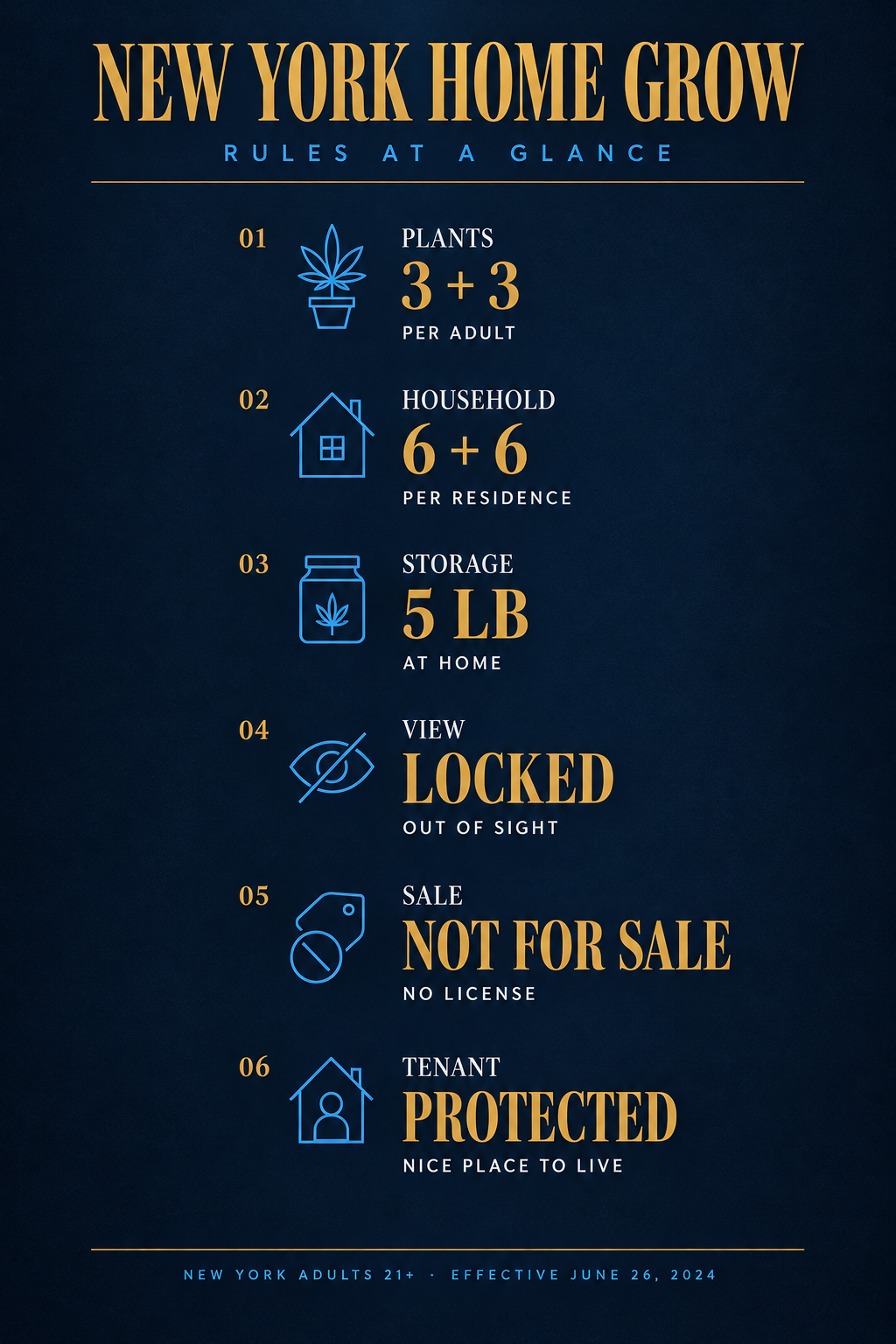 Infographic 1