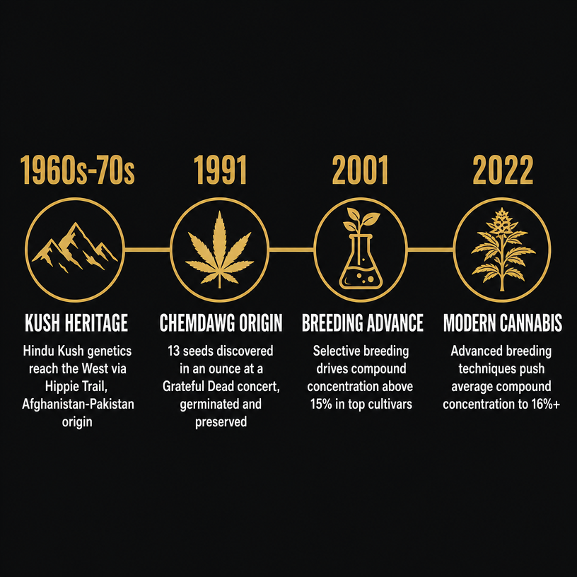 Infographic 2