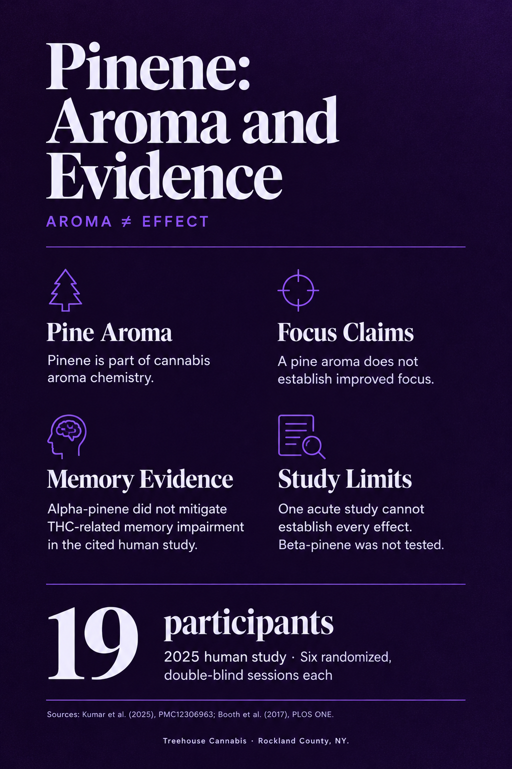 Infographic 1