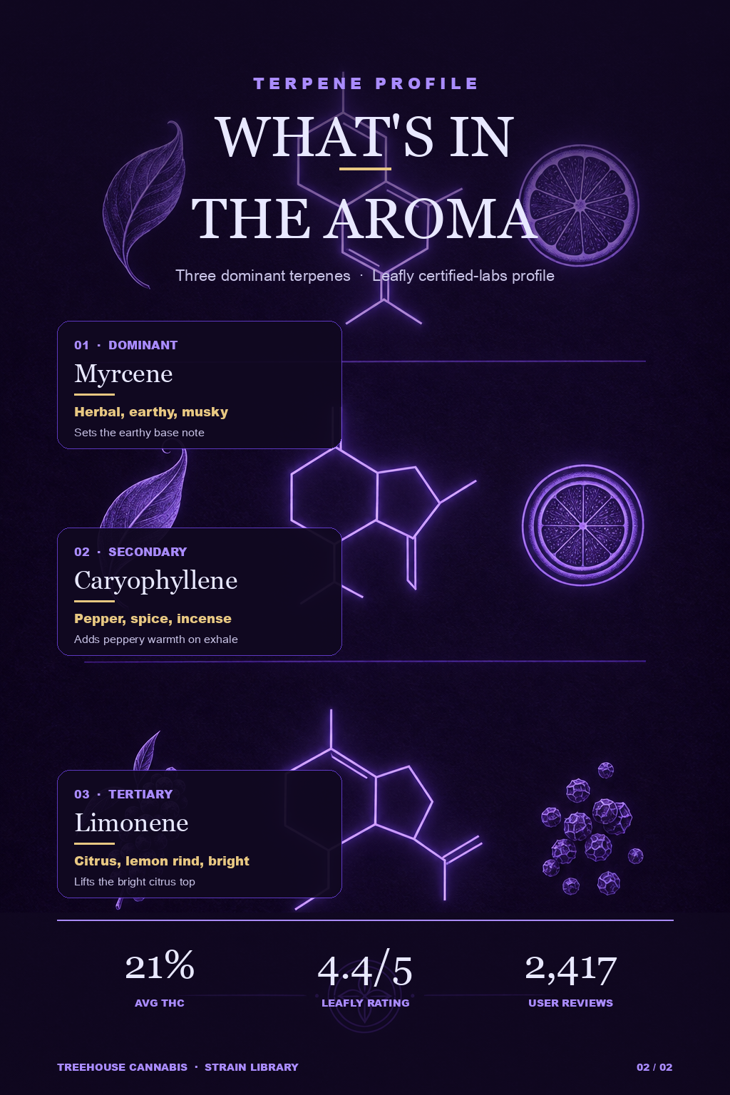 Infographic 2