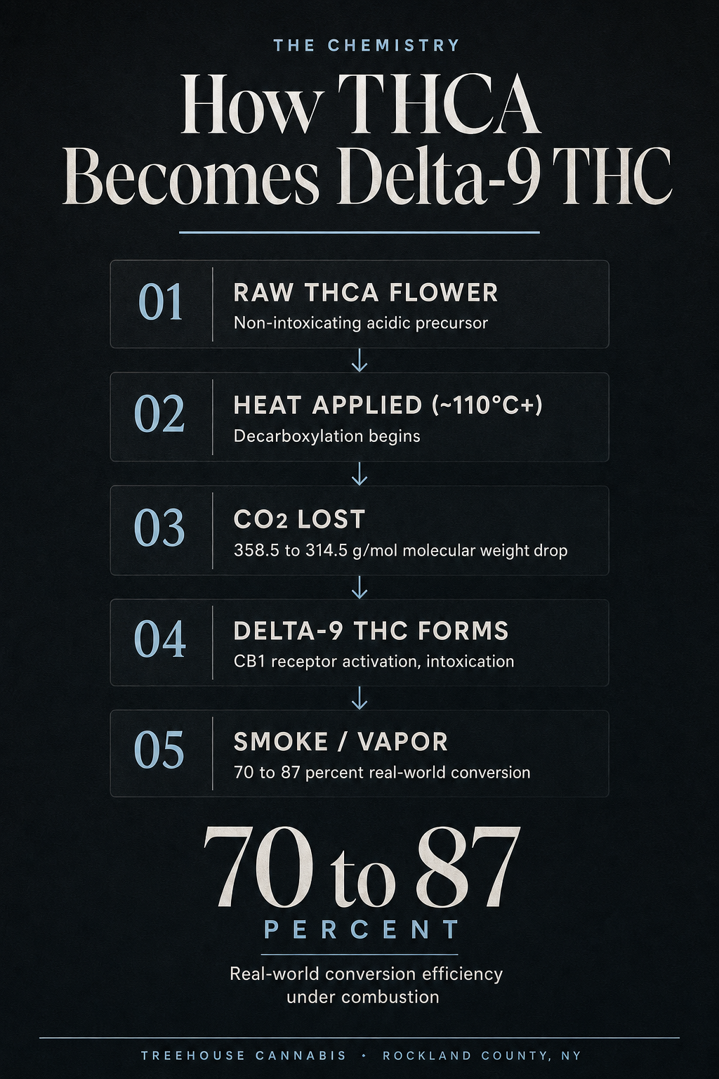 Infographic 1