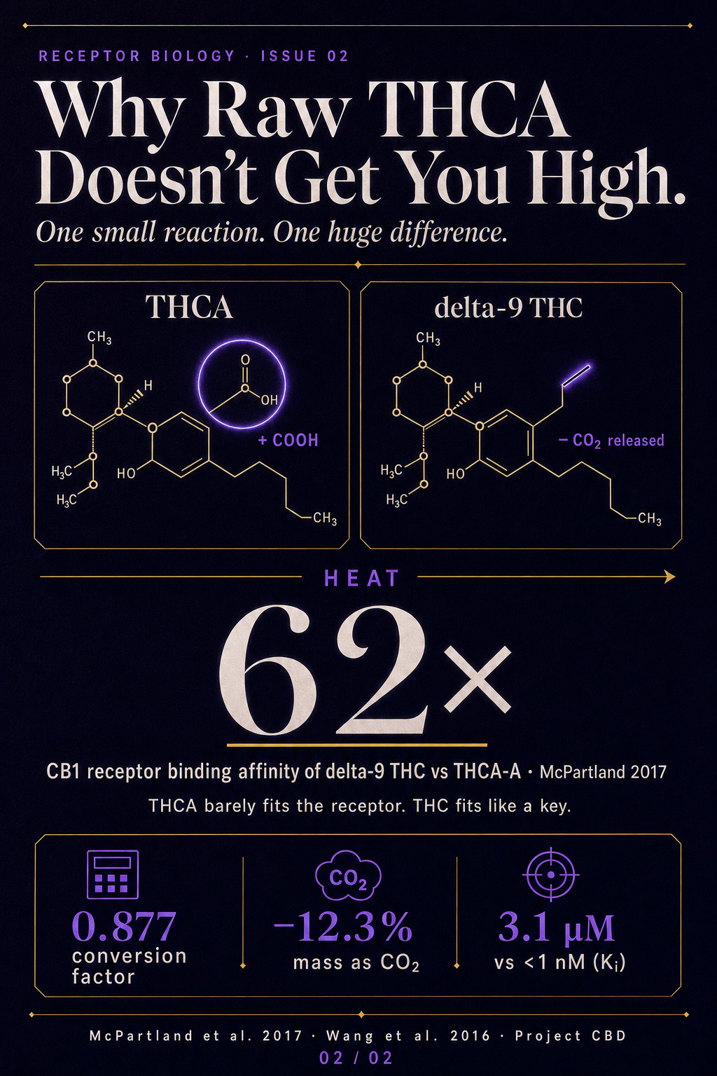 Infographic 2