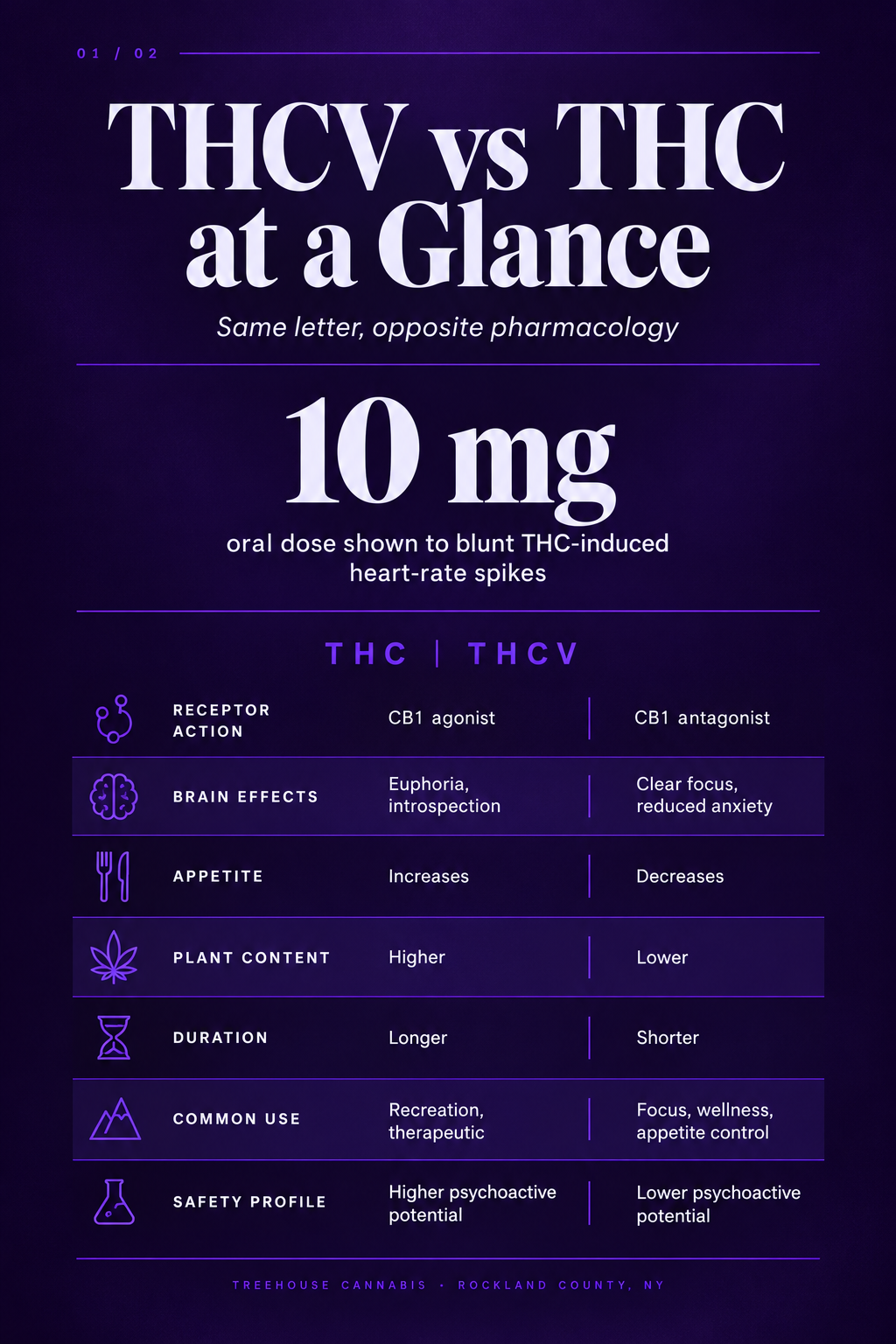 Infographic 1