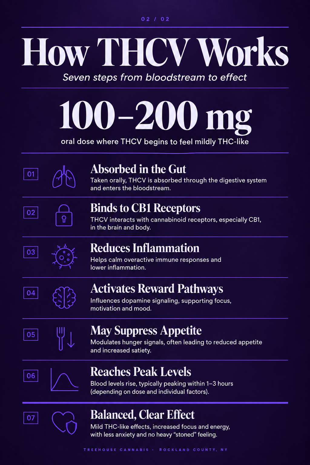 Infographic 2
