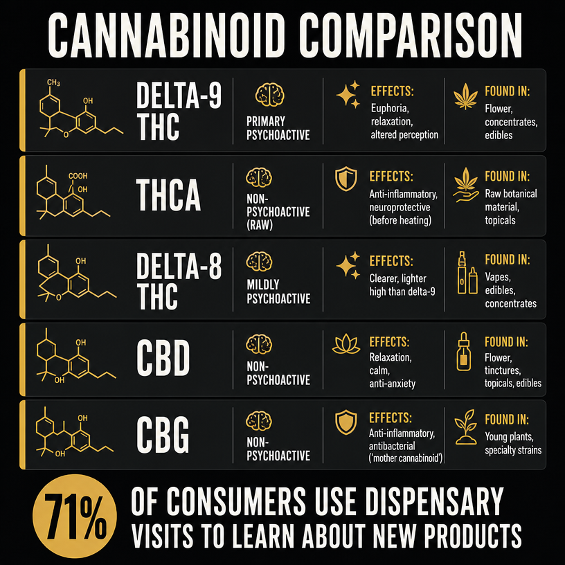 Infographic 1