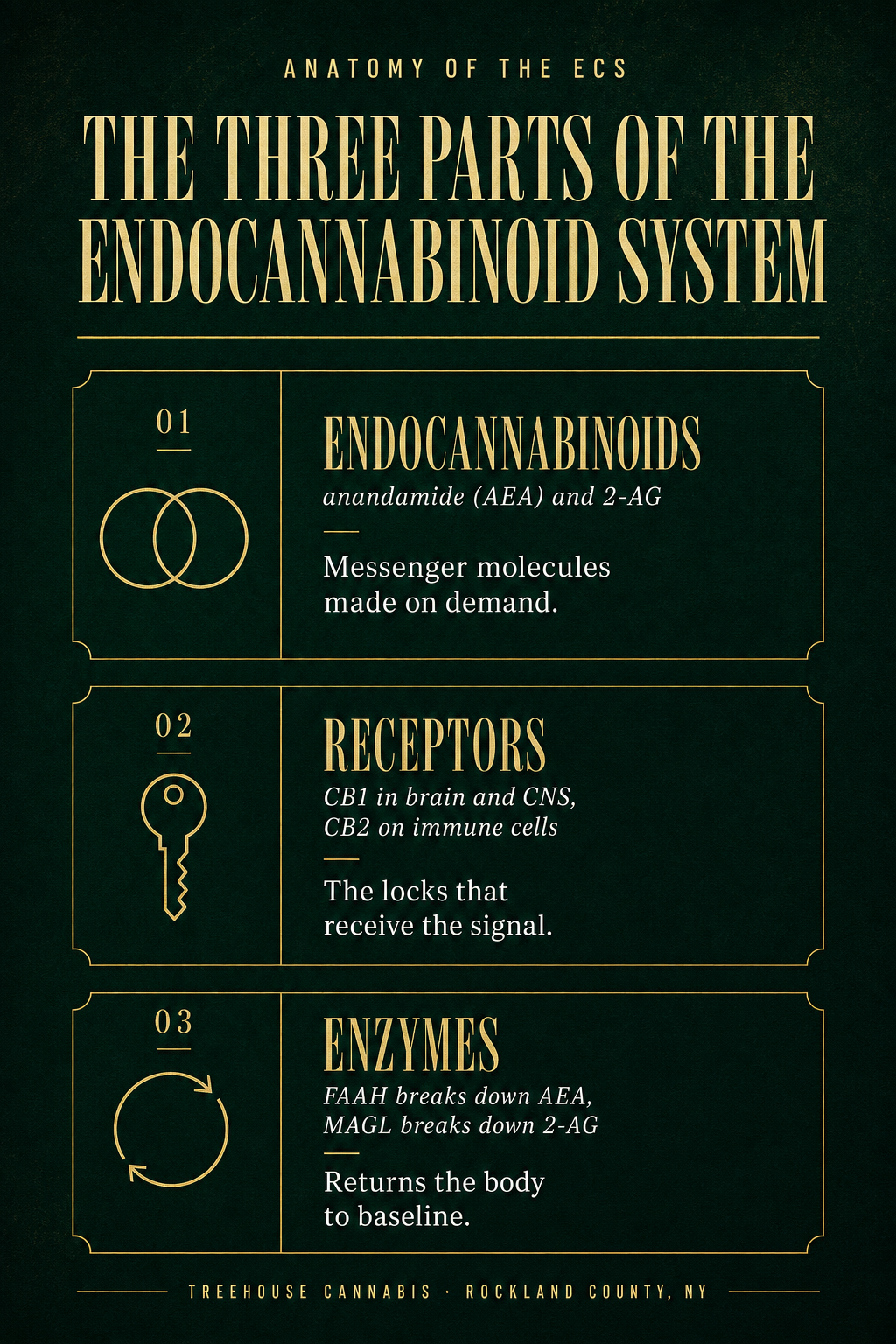 Infographic 1