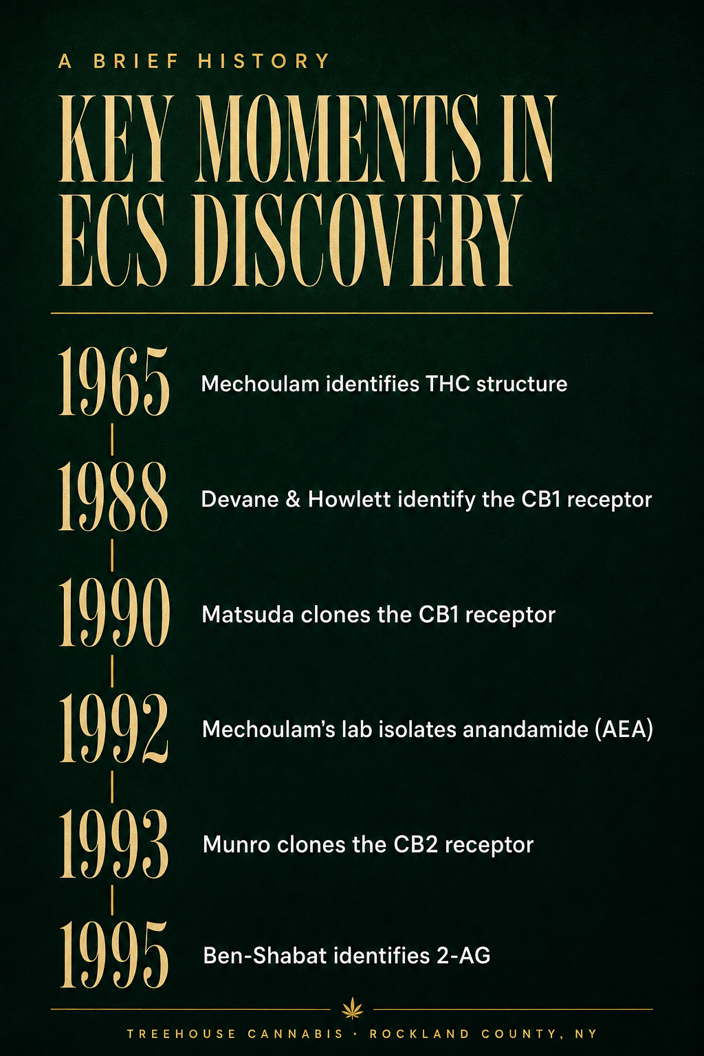 Infographic 2