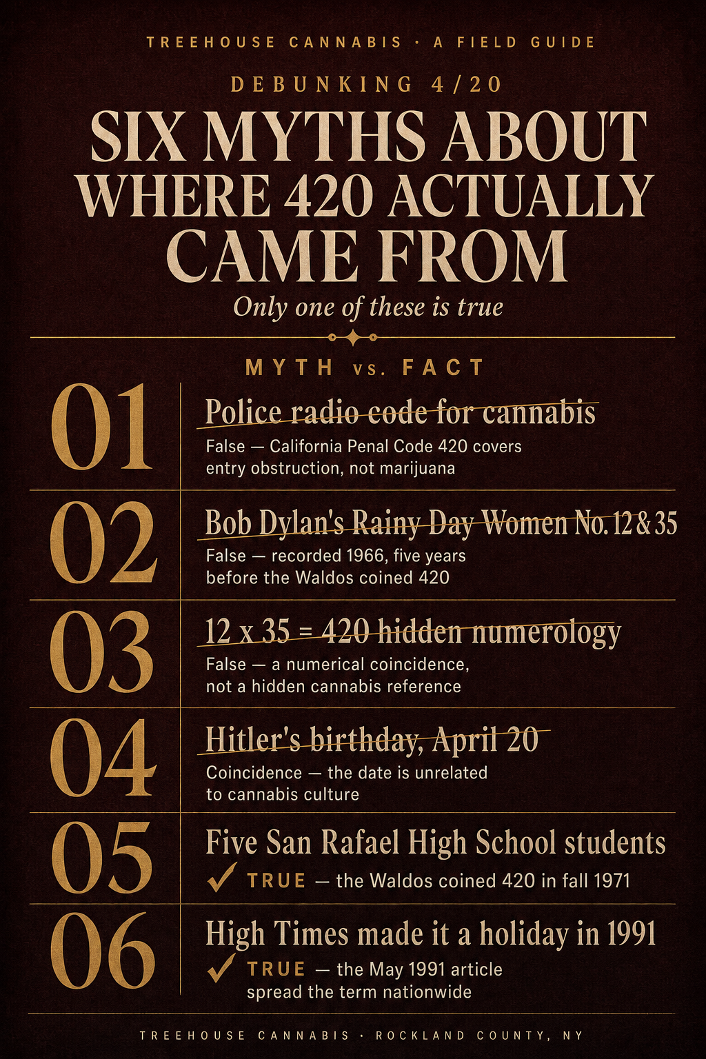 Infographic 2