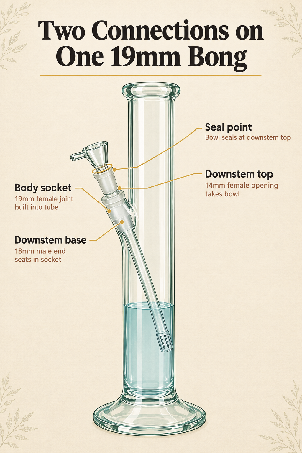 Two Connections on One 19mm Bong