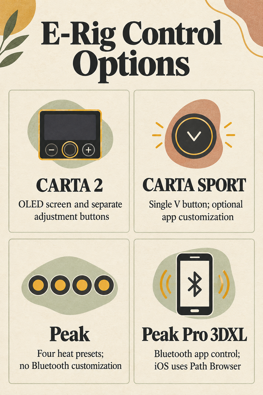 E-Rig Control Options