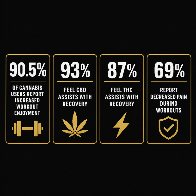 Infographic 1