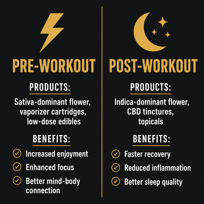Infographic 2