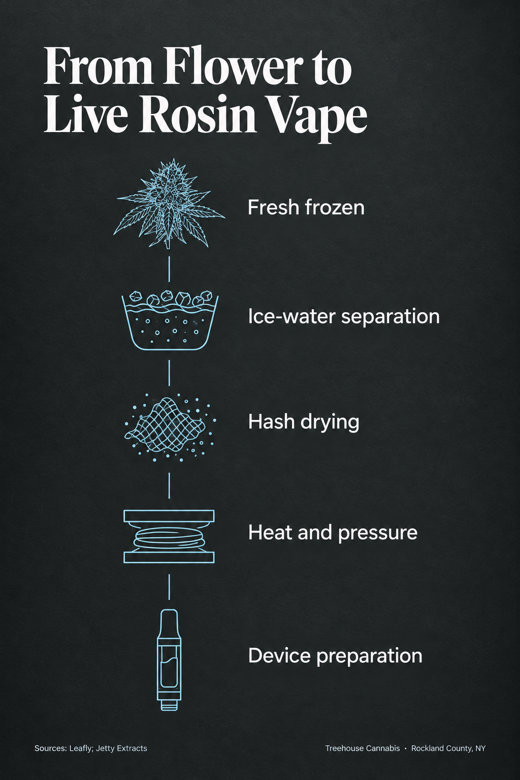 Infographic 1