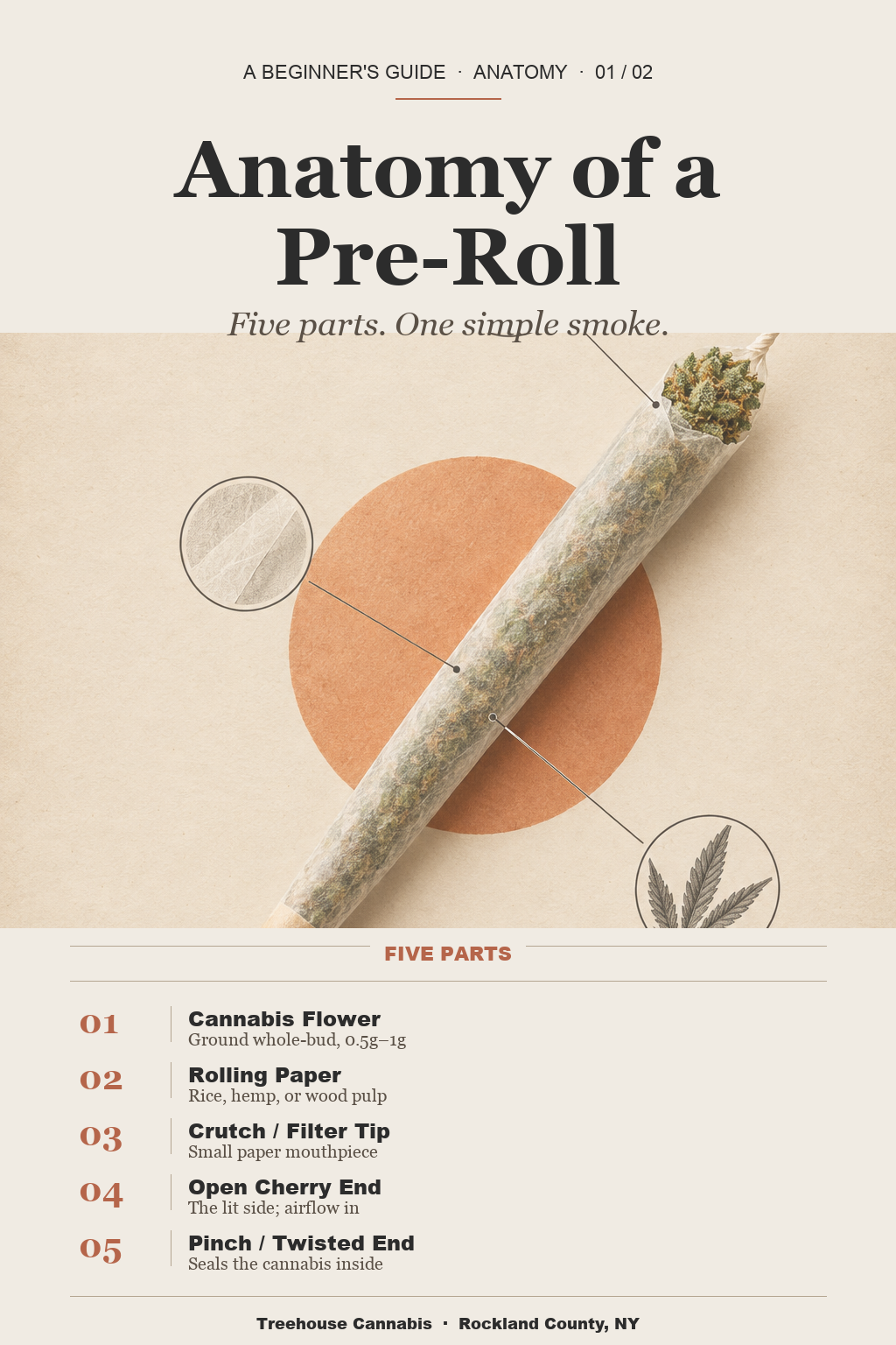 Infographic 1