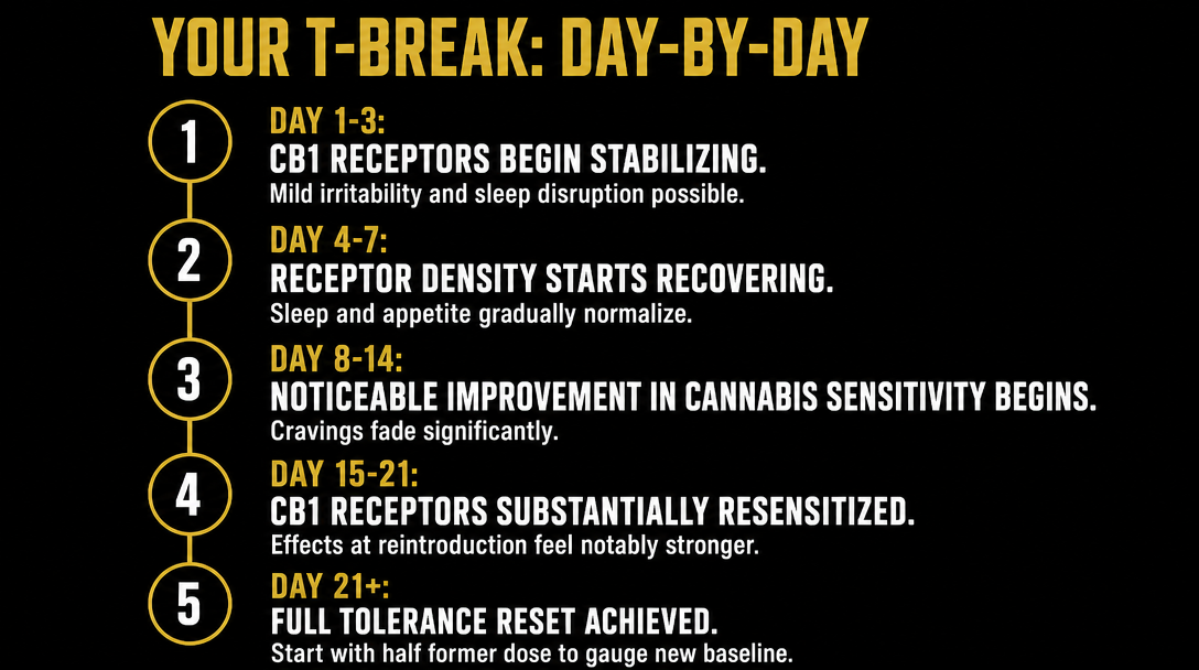 Infographic 1