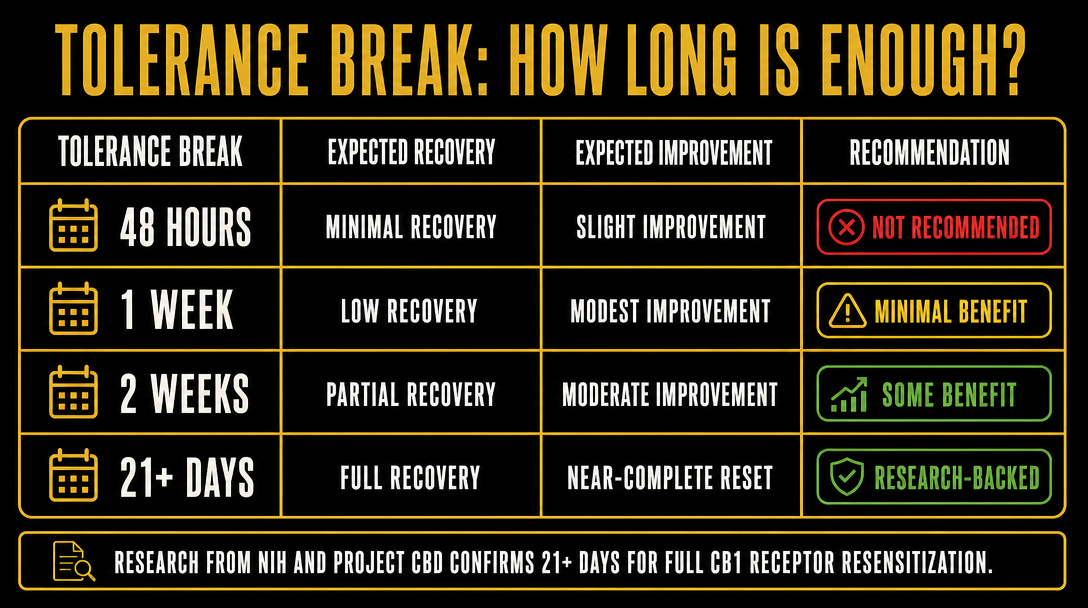 Infographic 2