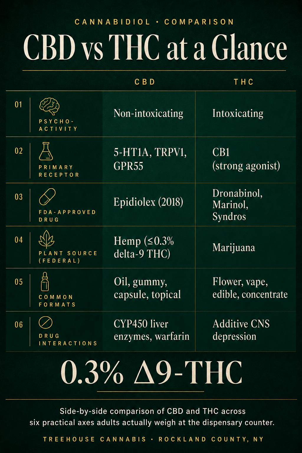 Infographic 1