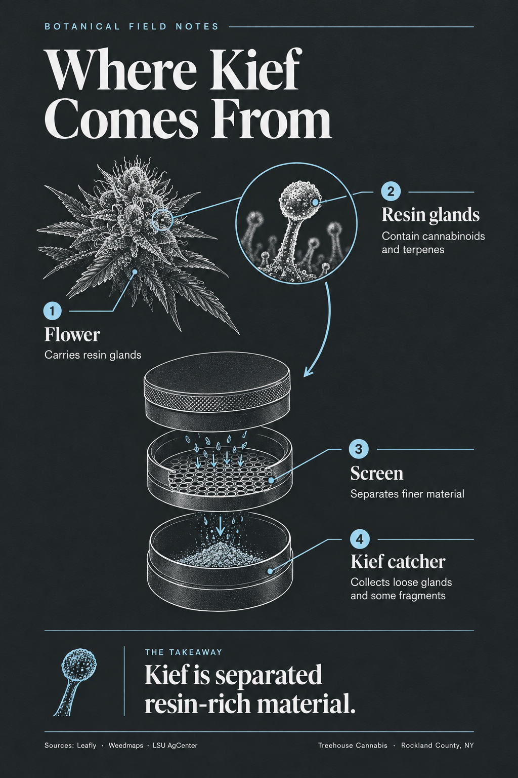 Infographic 1