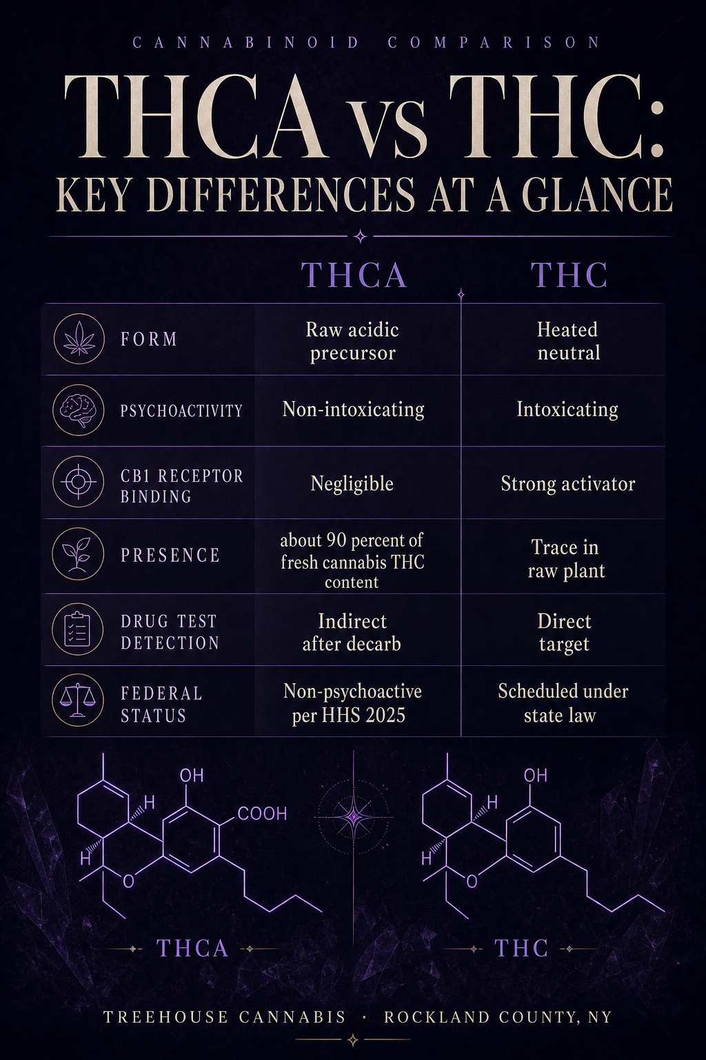 Infographic 2