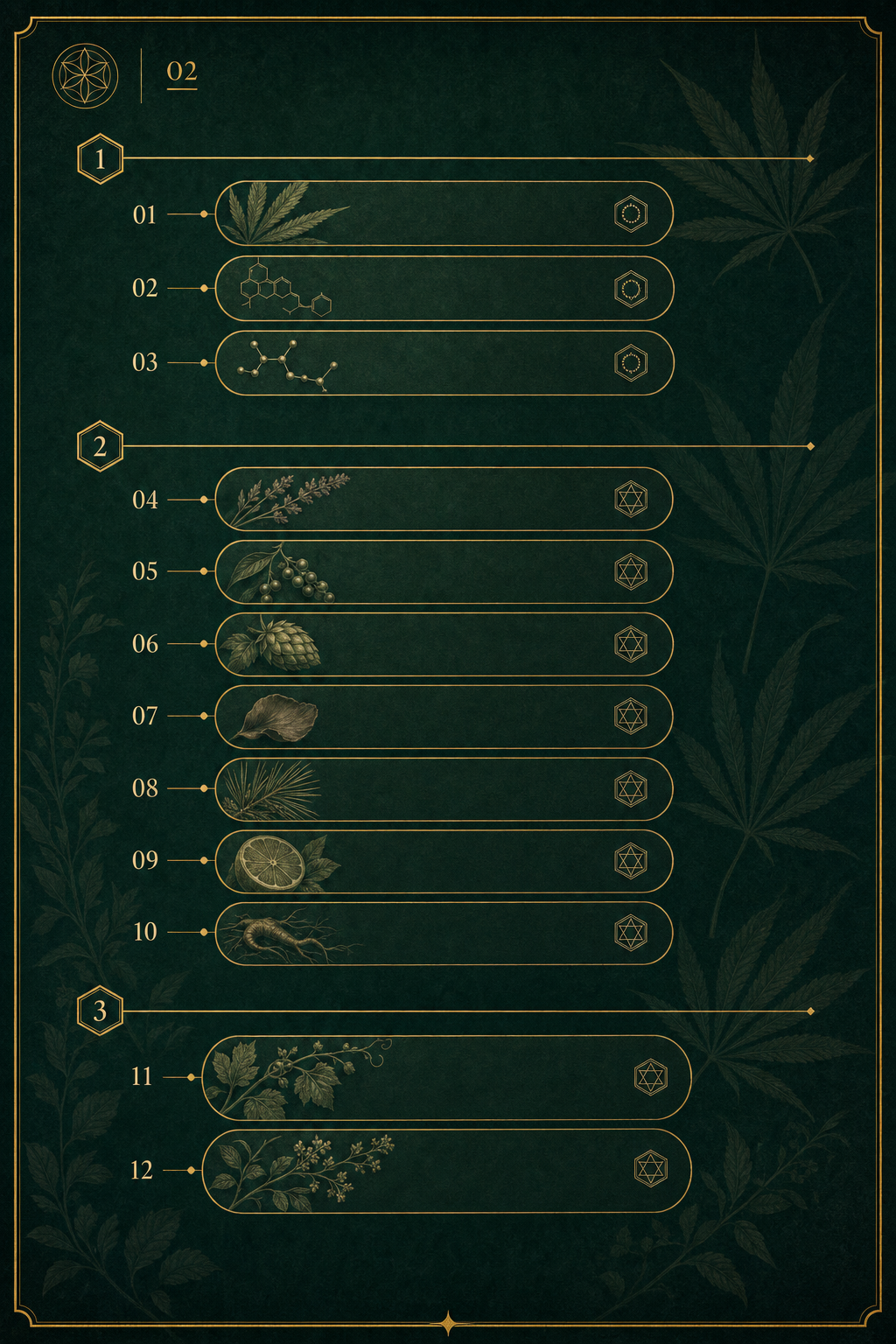 Infographic 2