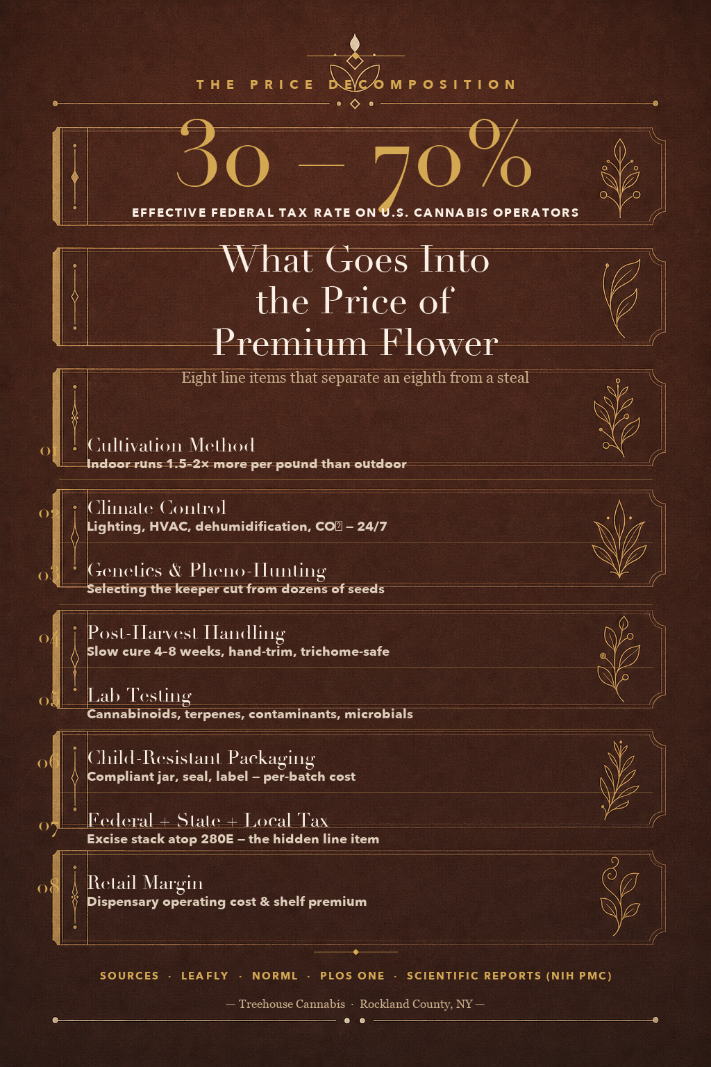 Infographic 1