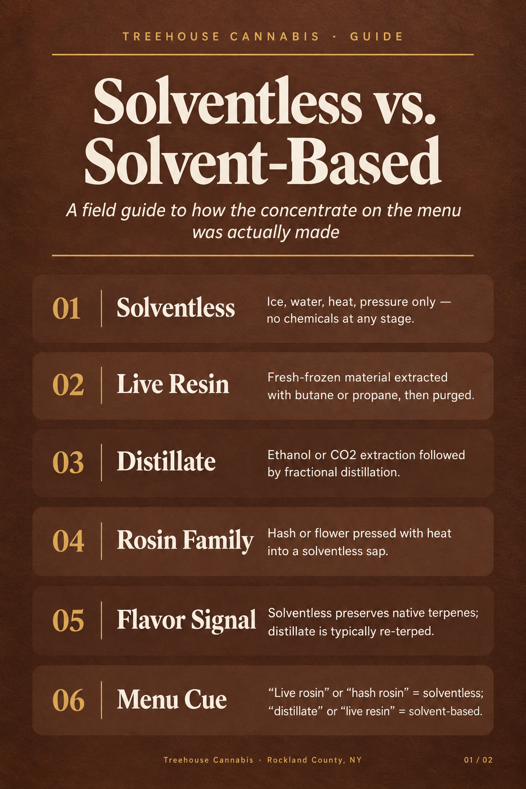 Infographic 1