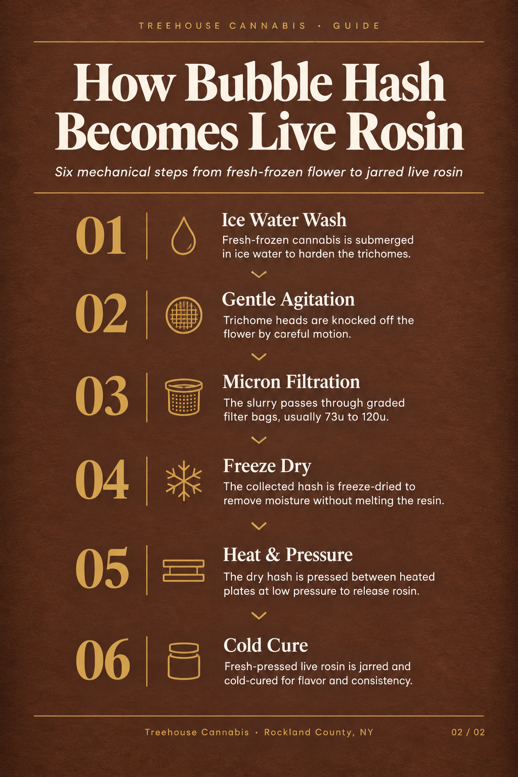 Infographic 2