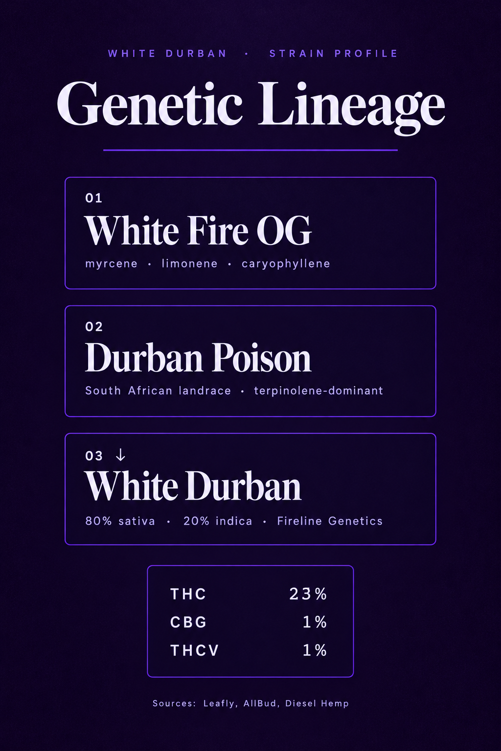 Infographic 1