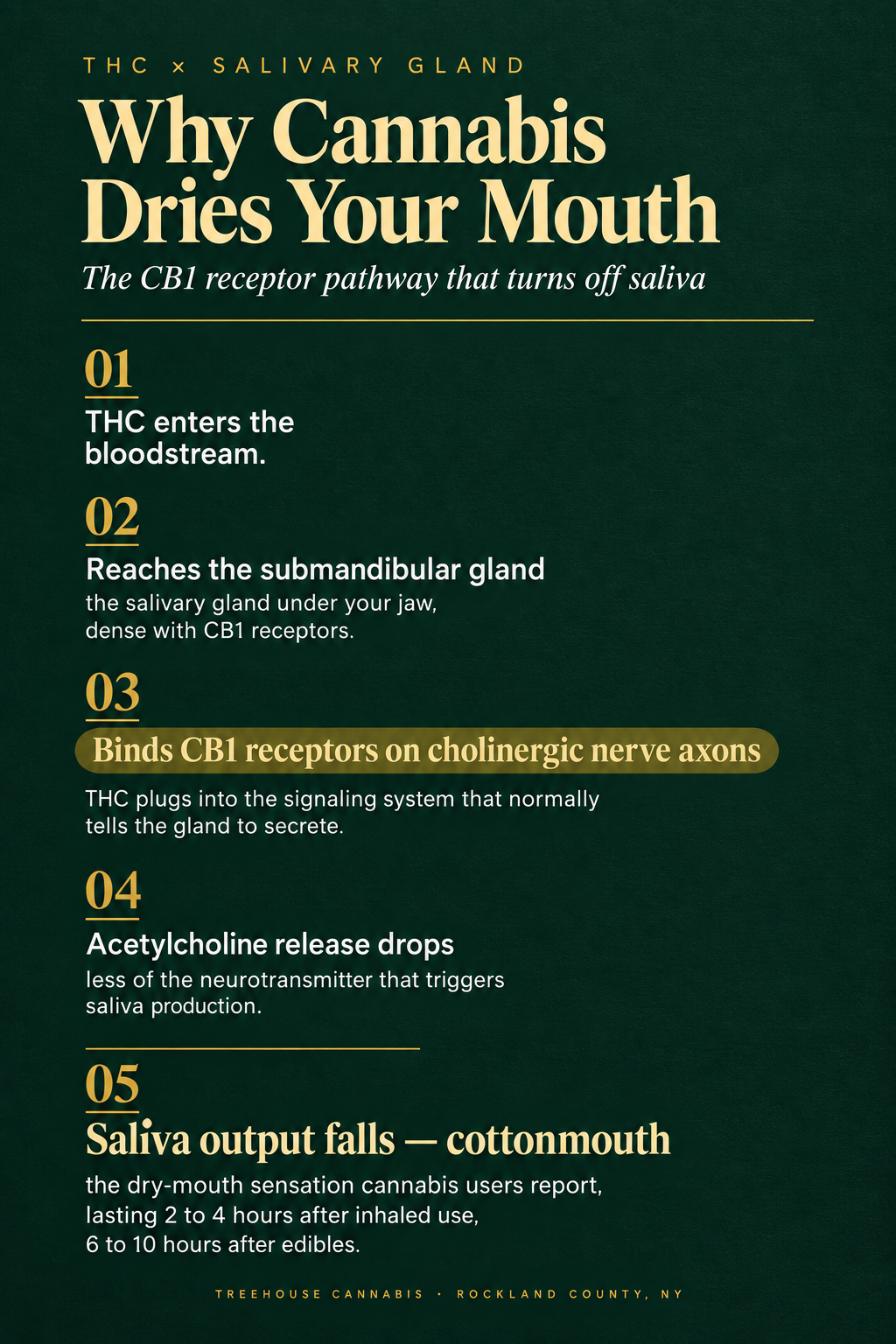 Infographic 1