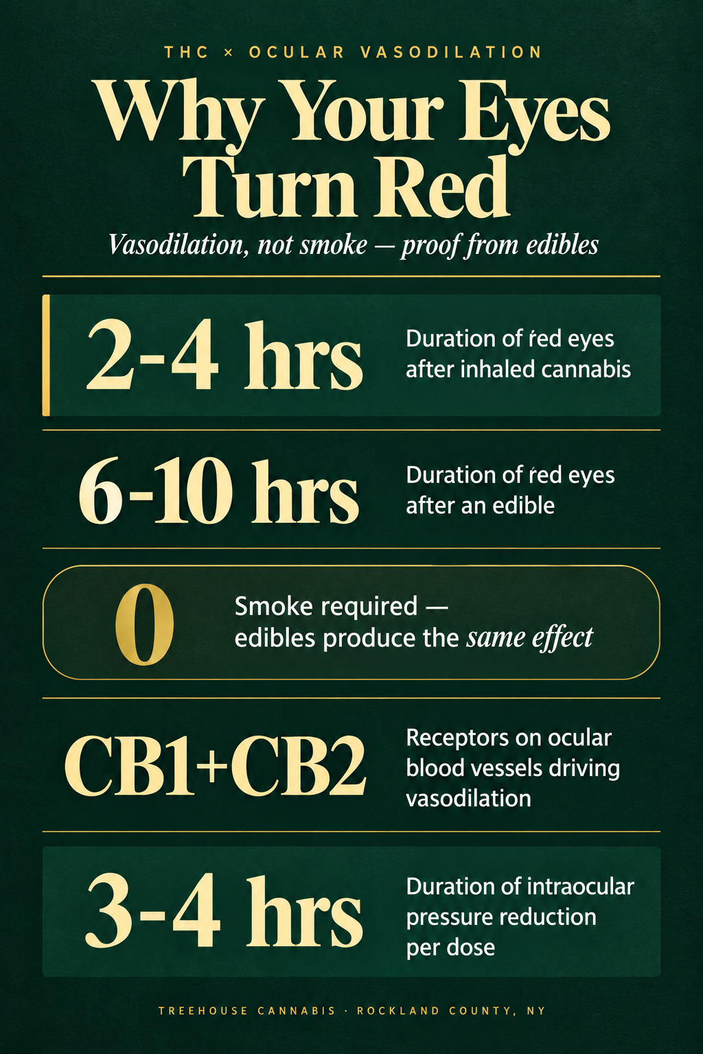 Infographic 2